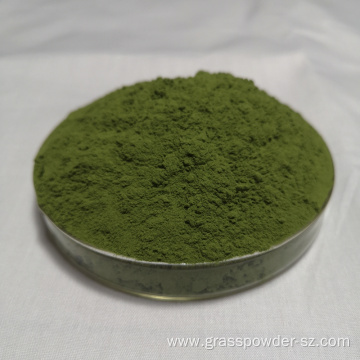 100% pure health food Organic Wheat Grass Powder